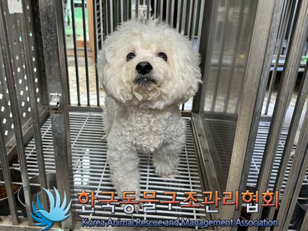 한국동물구조관리협회_411323202400574